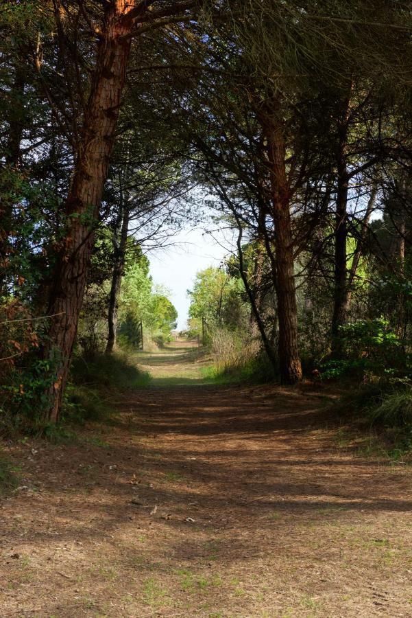 Natura Cavallino-Treporti Zewnętrze zdjęcie