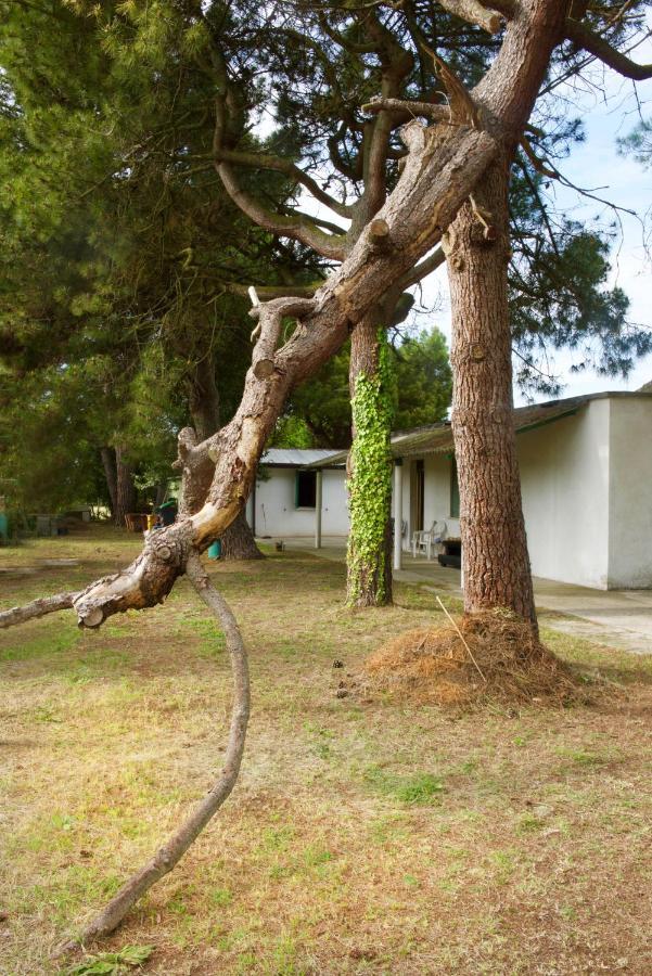 Natura Cavallino-Treporti Zewnętrze zdjęcie